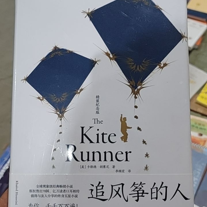 追风筝的人闪购闪购闪购