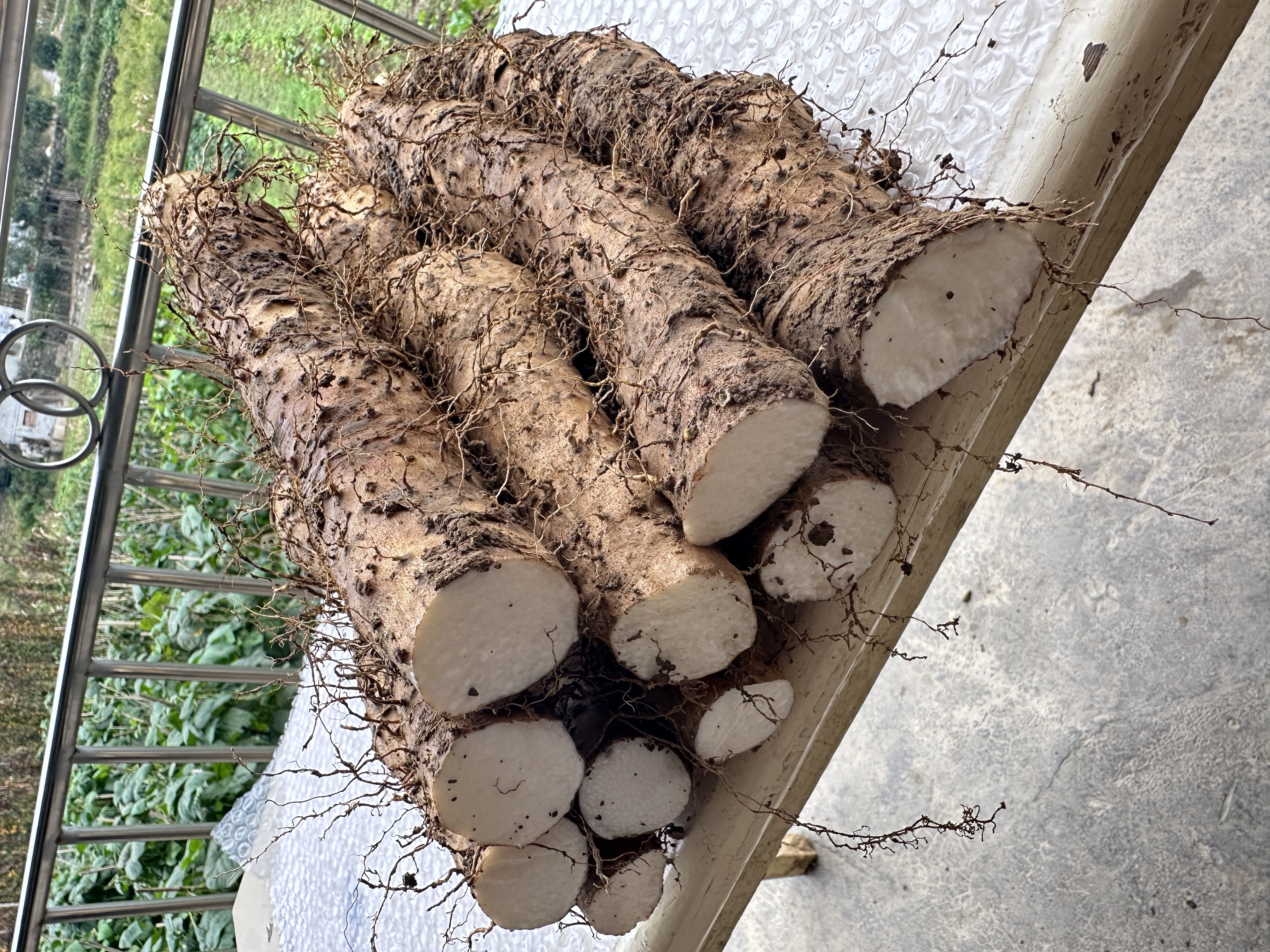 湖北利川特产团堡红皮山药新鲜粉糯包邮到家