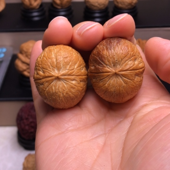 文玩核桃把件七彩元宝43