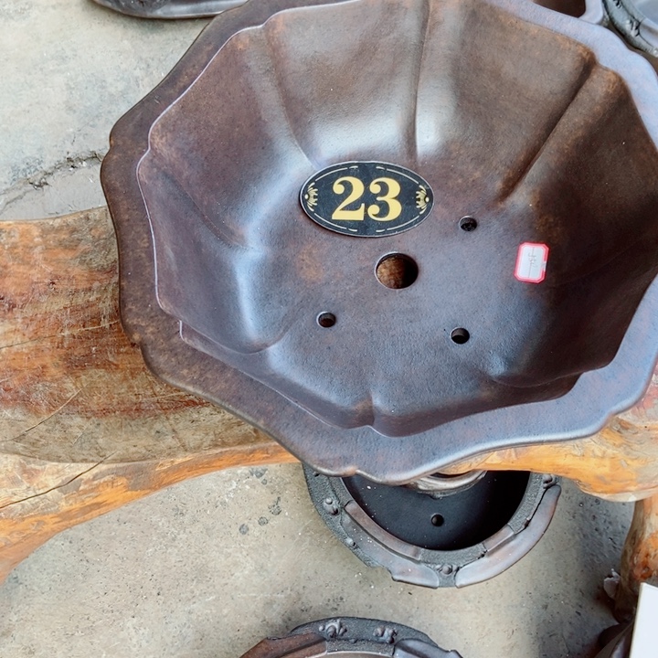 强***子杨冬益紫砂花盆56899