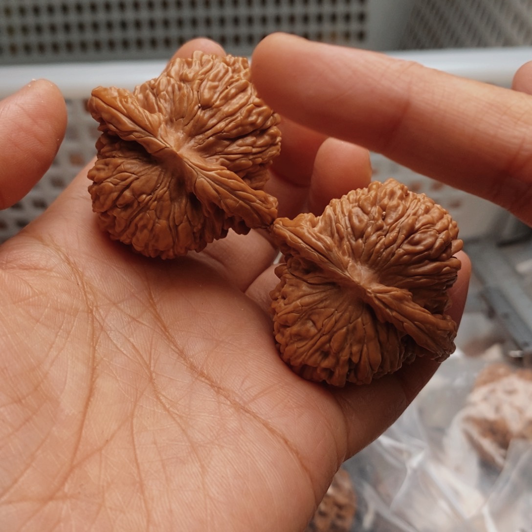 文玩核桃把件南瓜楼41尺