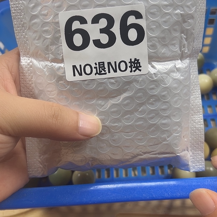 吊坠菩提根/象牙果