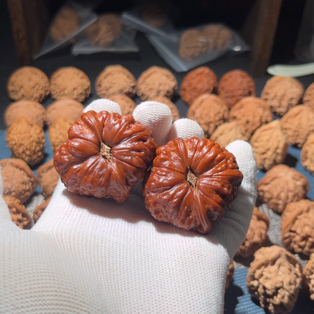 核桃45尺56克五年南瓜墩