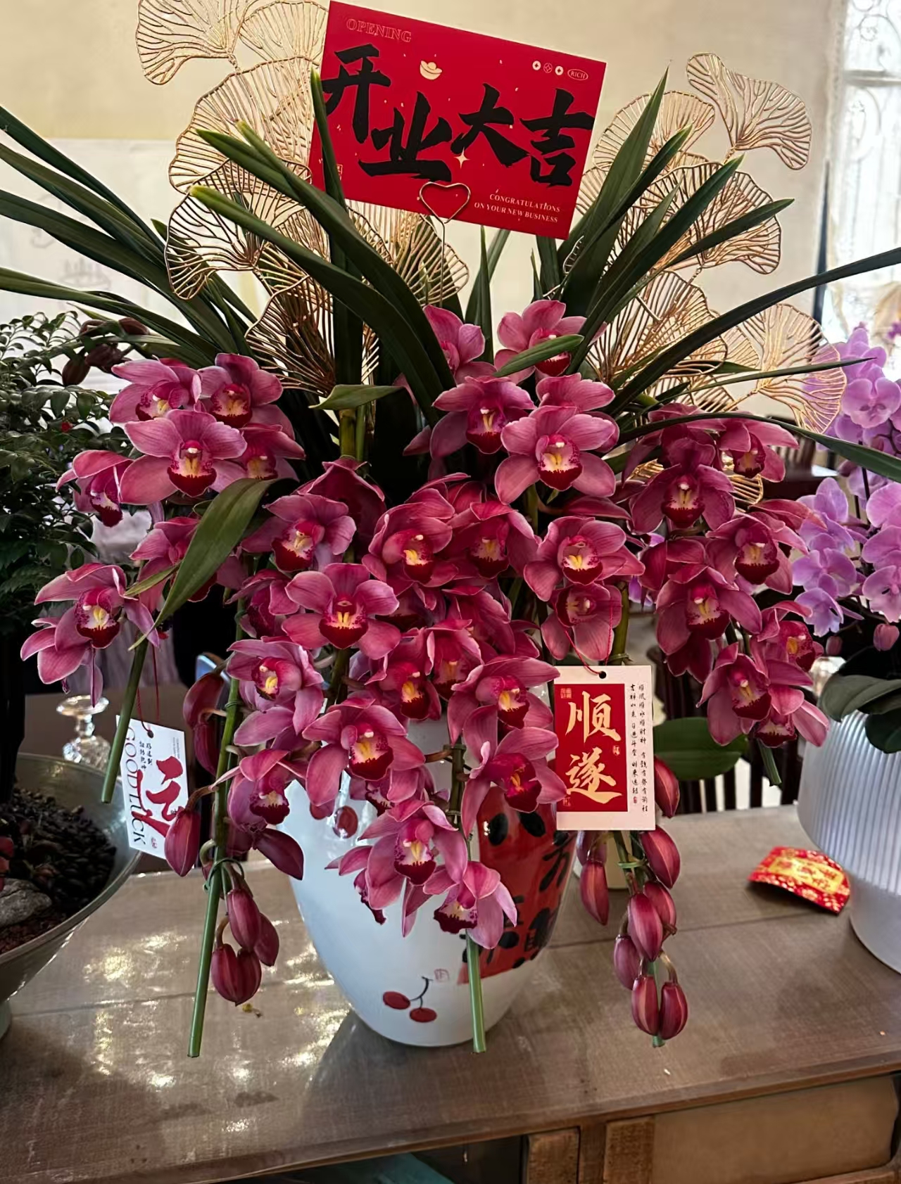 【梦寐以求】落地款大花蕙兰盆栽室内好养小盆栽鲜花盆栽基地批发兰