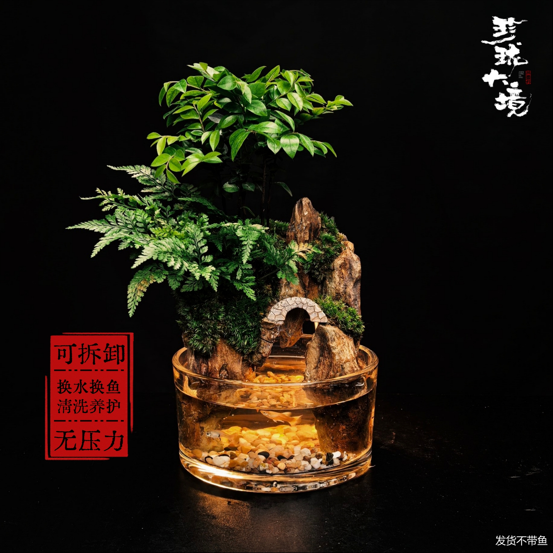 [小金山a]小叶紫檀带灯可拆洗创意真绿植室内国风鱼缸摆件15*8cm
