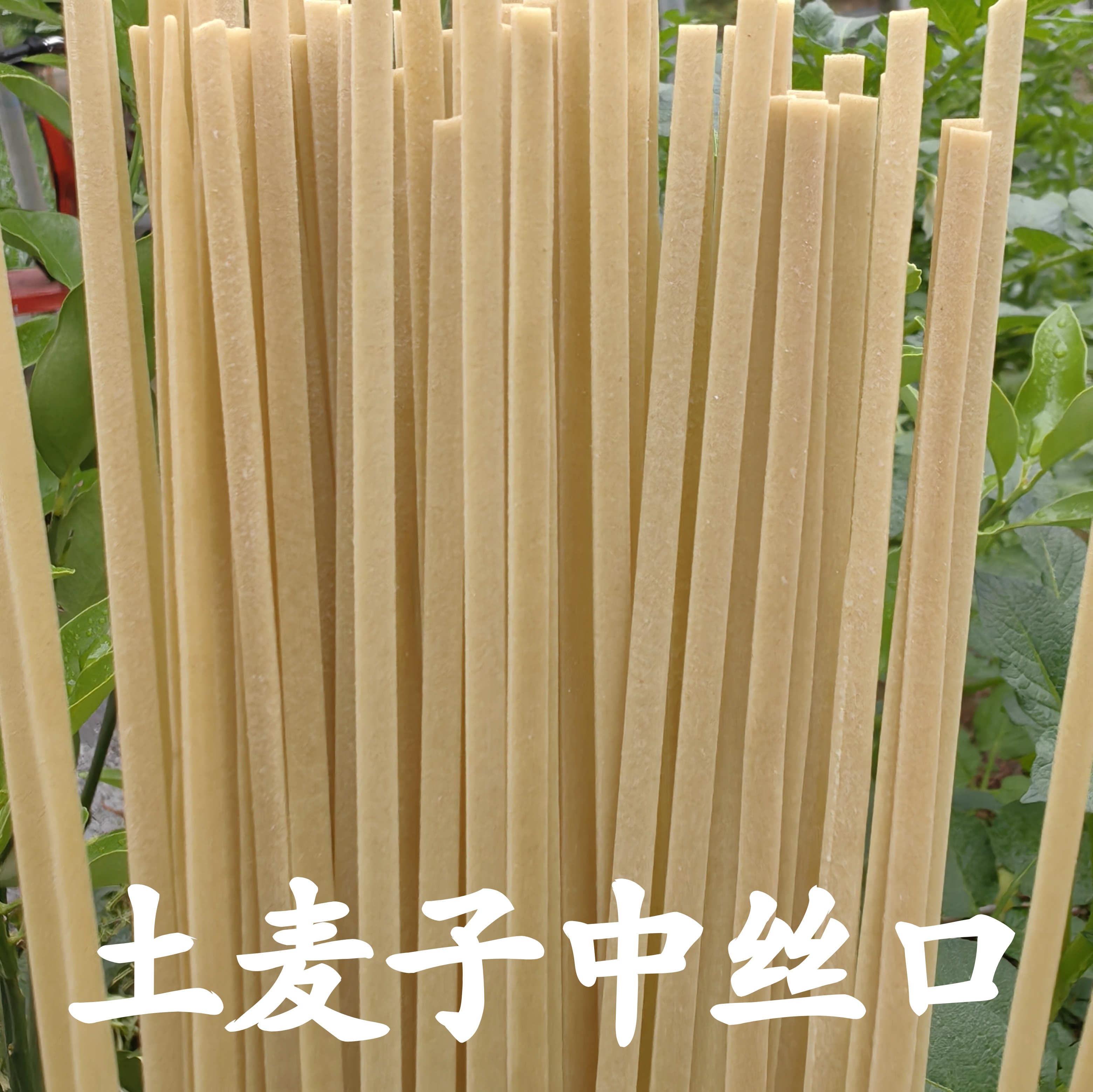 镇雄地方土麦子碱水面