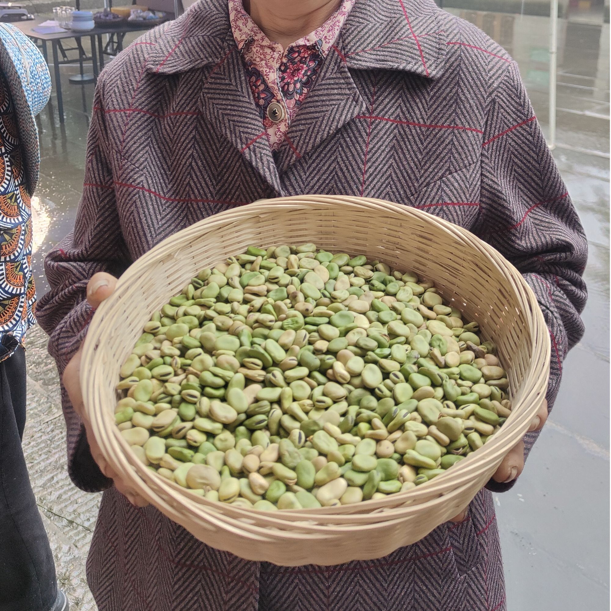 干胡豆3斤 农户家自己种的胡豆剥壳自然日晒风干
