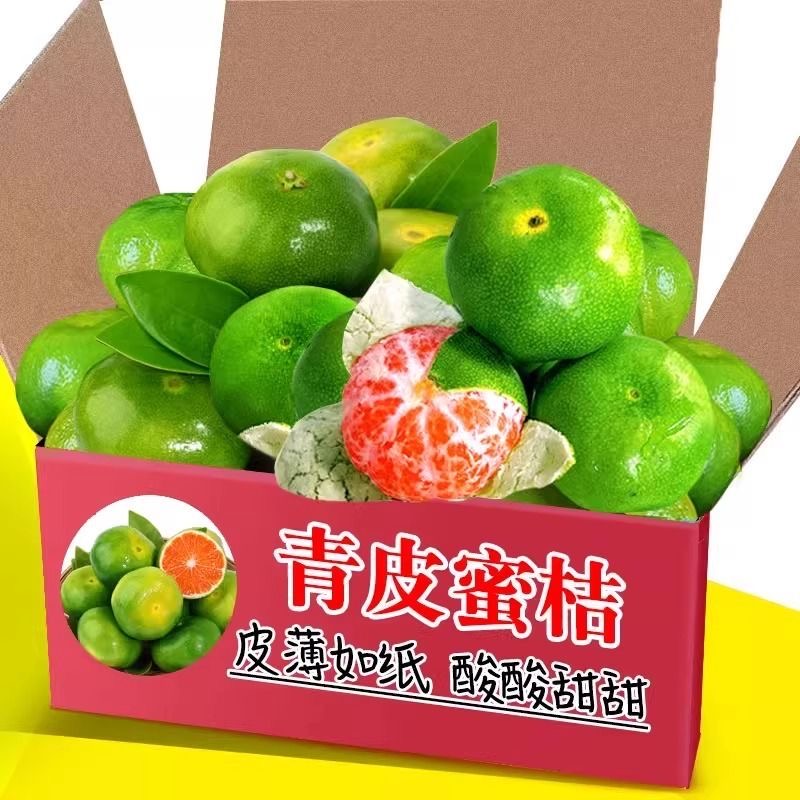 湖北现摘青皮蜜桔新鲜应季水果皮薄无籽酸甜多汁适合孕妇