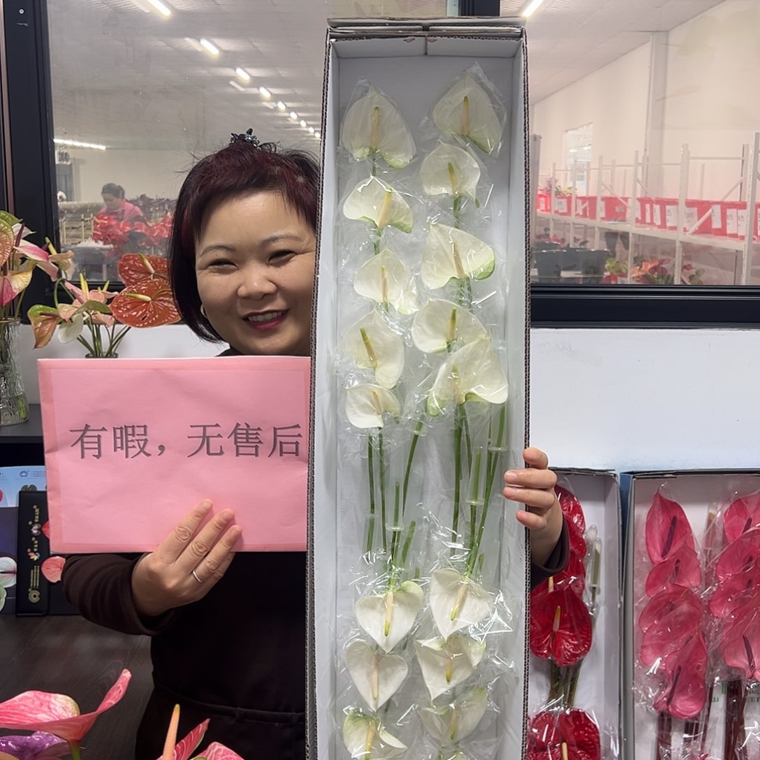 完全开放耳语-20枝装无售后款