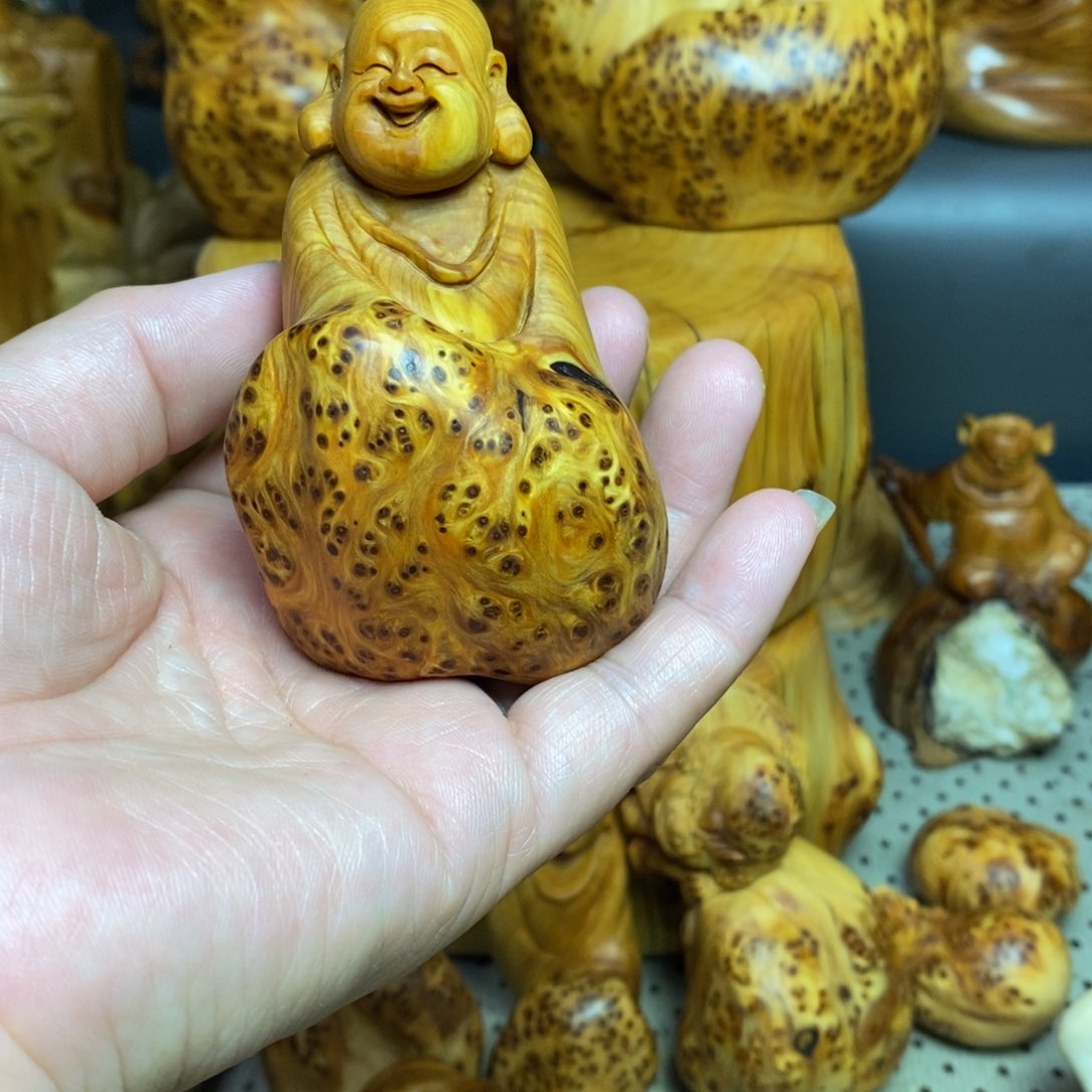 柏木（崖柏）@*c太行山区