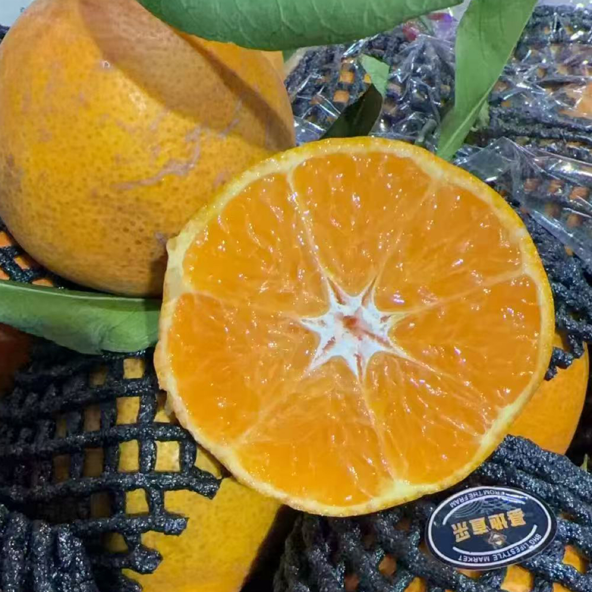 【京东顺丰次日达】纹花橘 橘香甜水润多汁新鲜1件3斤起辽宁发货水果四川省