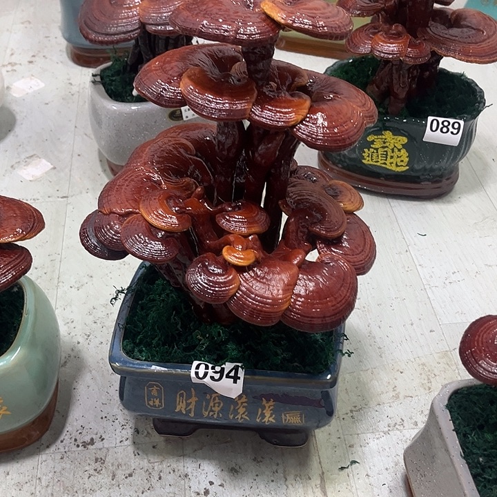 有***，全部花朵8888888888888888888