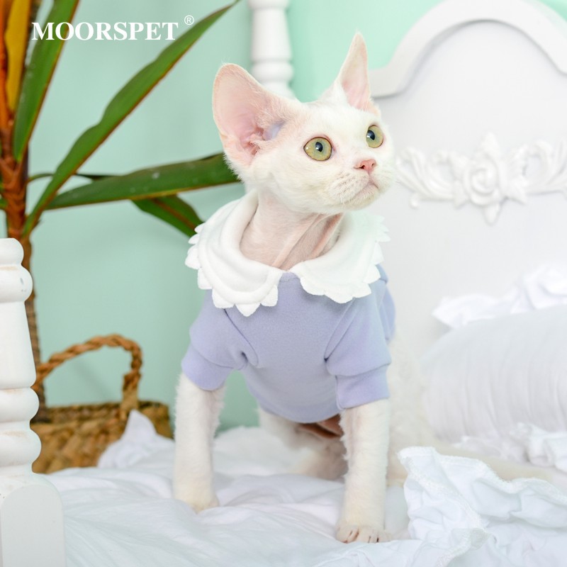 MOORSPET无毛猫衣服 ins风蕾丝花边德绒德文英短猫咪打底衫娃娃领