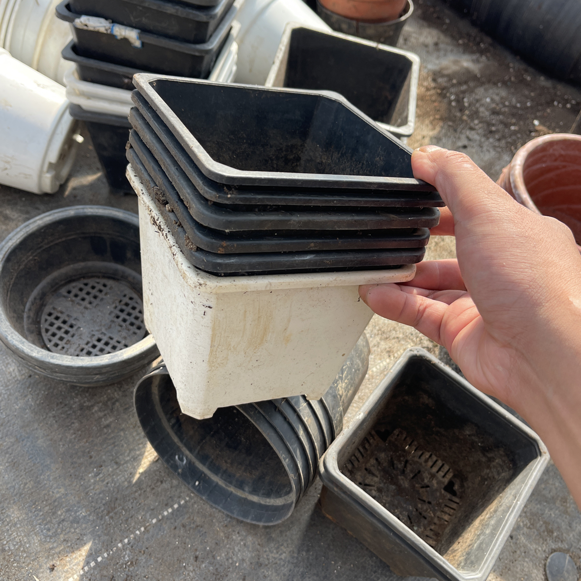 多肉花盆质量很好（大大小小20-30个）