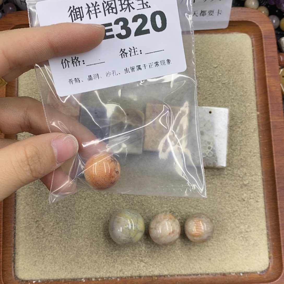 硅化珊瑚（珊瑚玉）颈饰未镶嵌在****果