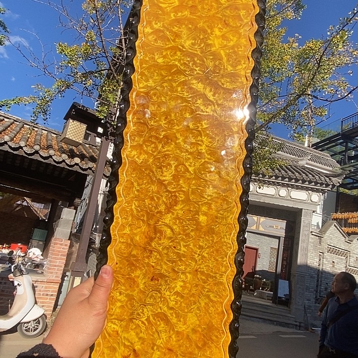 黄金樟特价222121111