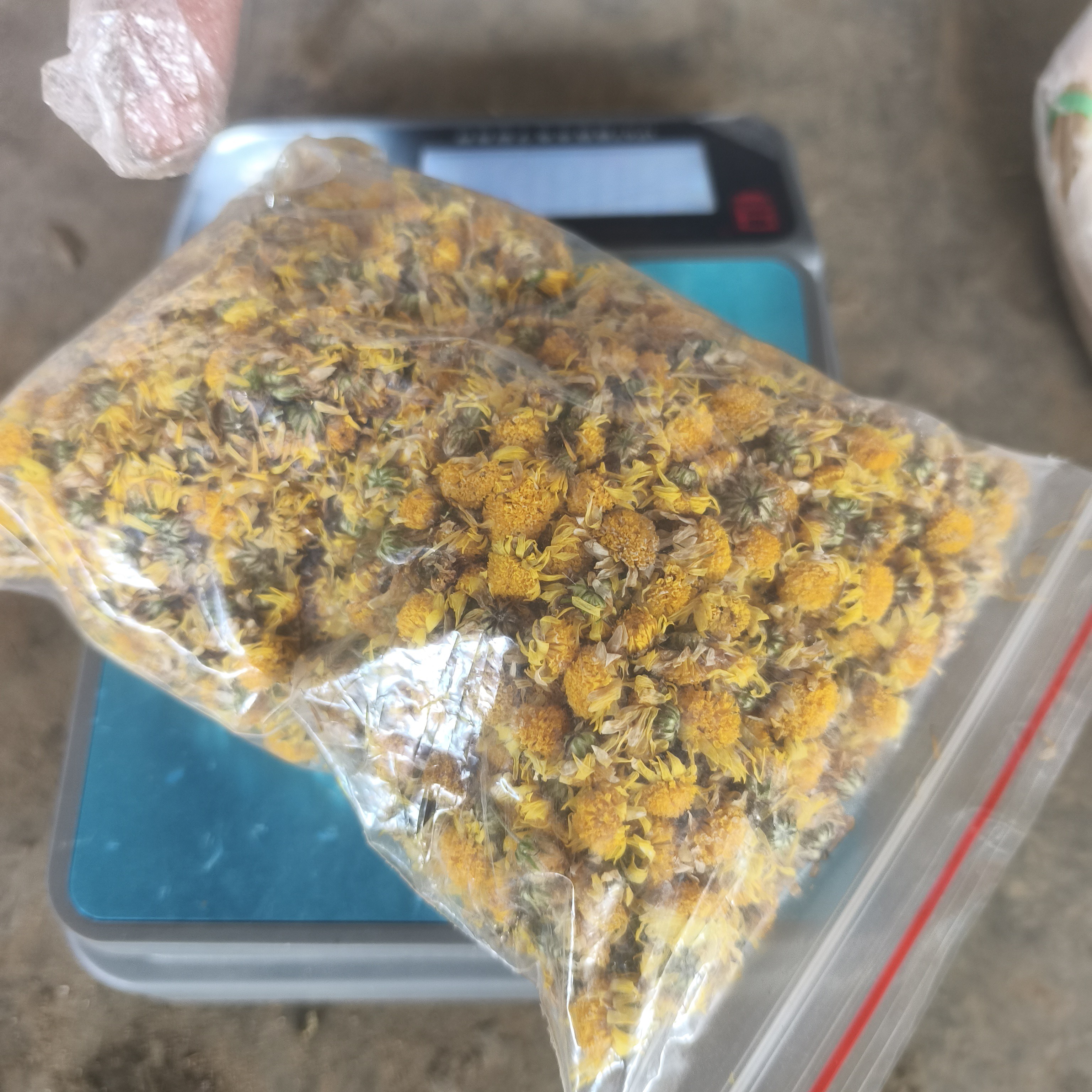 小赵山货云南边境  菊花