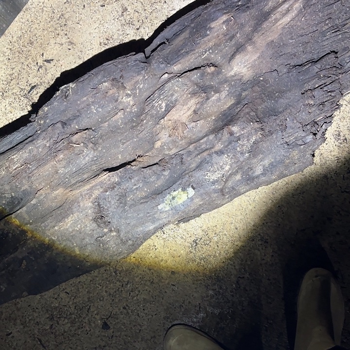 关***羽金丝楠金丝楠阴沉木