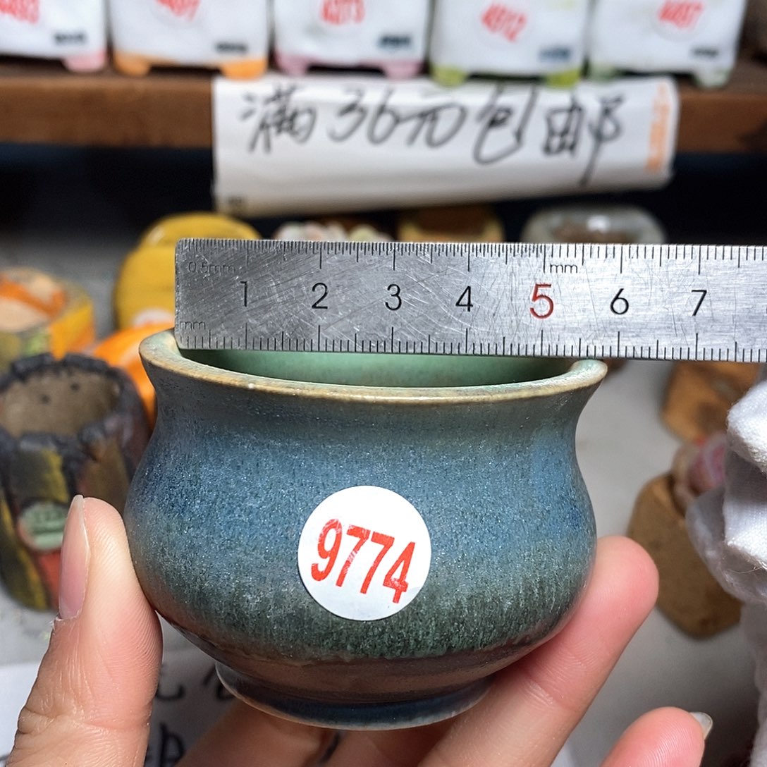 红陶拍5送一个小