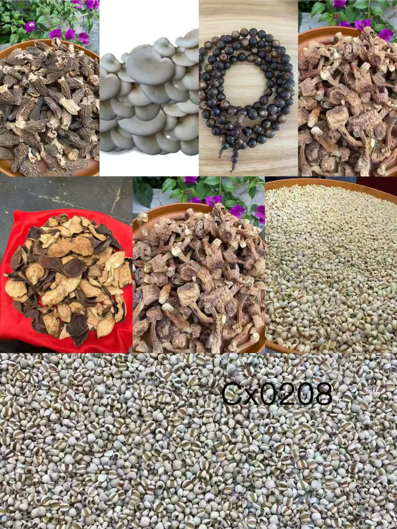 《阿浩专用土特产CX0208》多样性发货 重量37克左右