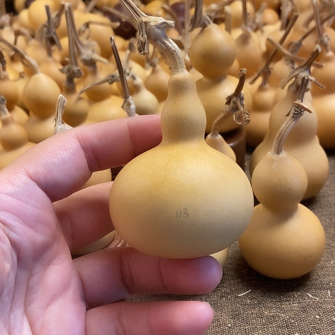 文玩葫芦 完美主义者 慎拍113