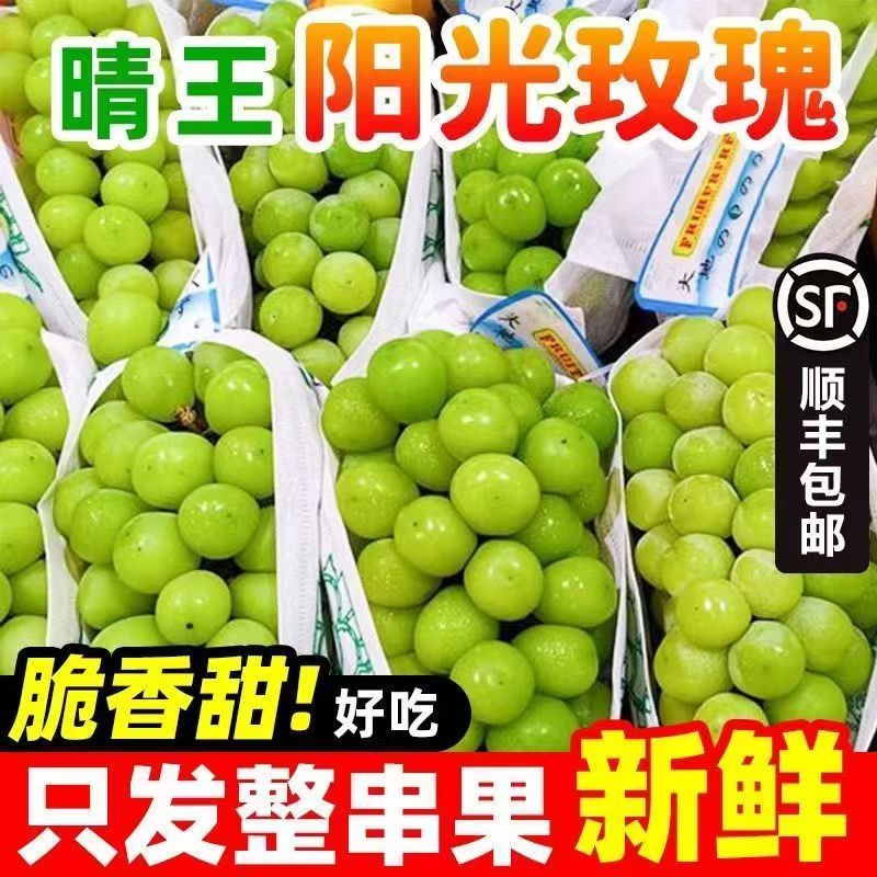 正宗西昌新鲜应季阳光玫瑰葡萄晴王无籽清甜多汁现摘现发孕妇水果
