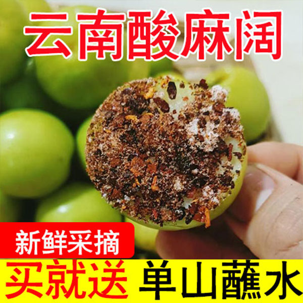 云南骂阔酸甜麻阔果新鲜采摘当季孕妇水果一整箱包邮薄皮青脆酸枣