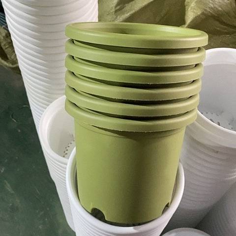 树脂微瑕2号6个无托果绿