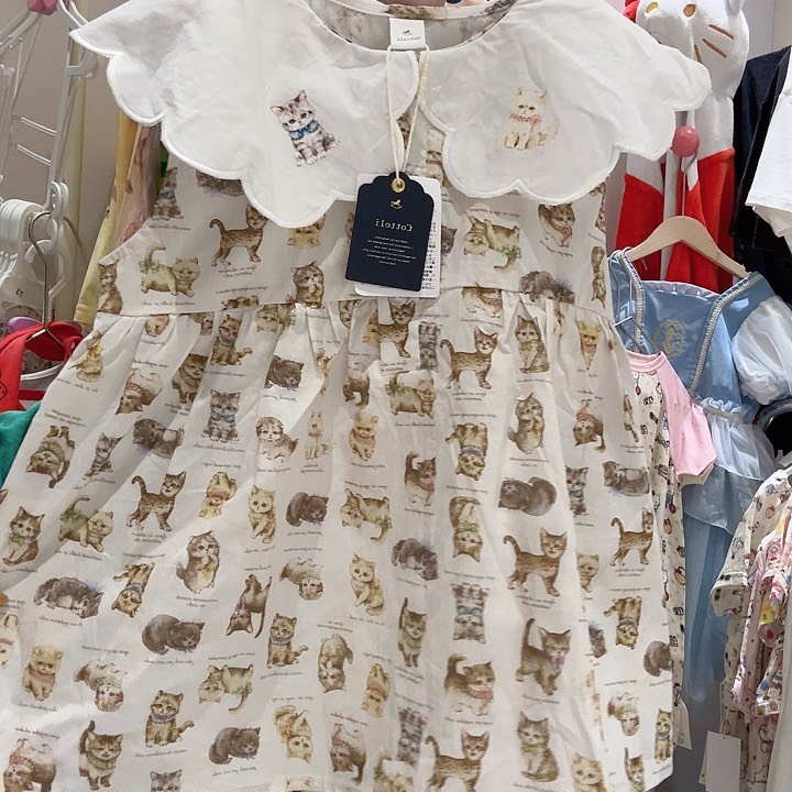 12.13，不退不换小木马