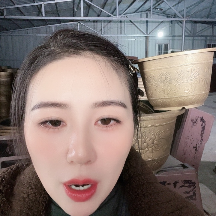 圆83口径花盆一个