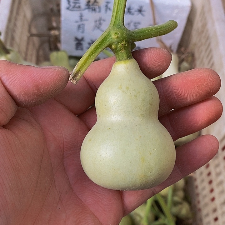 奔*吧哈哈哈哈哈哈哈哈哈哈哈