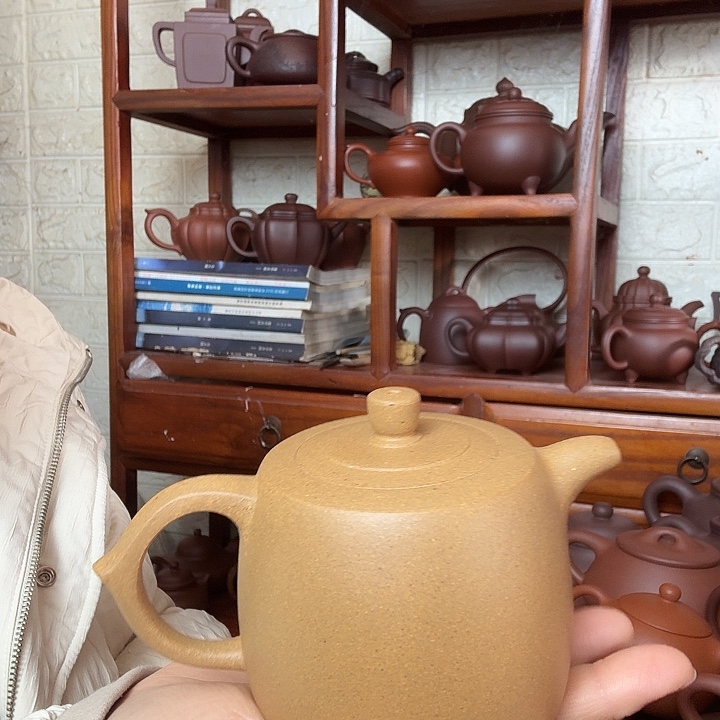 尘***客茶壶紫砂井兰300cc精工半手工