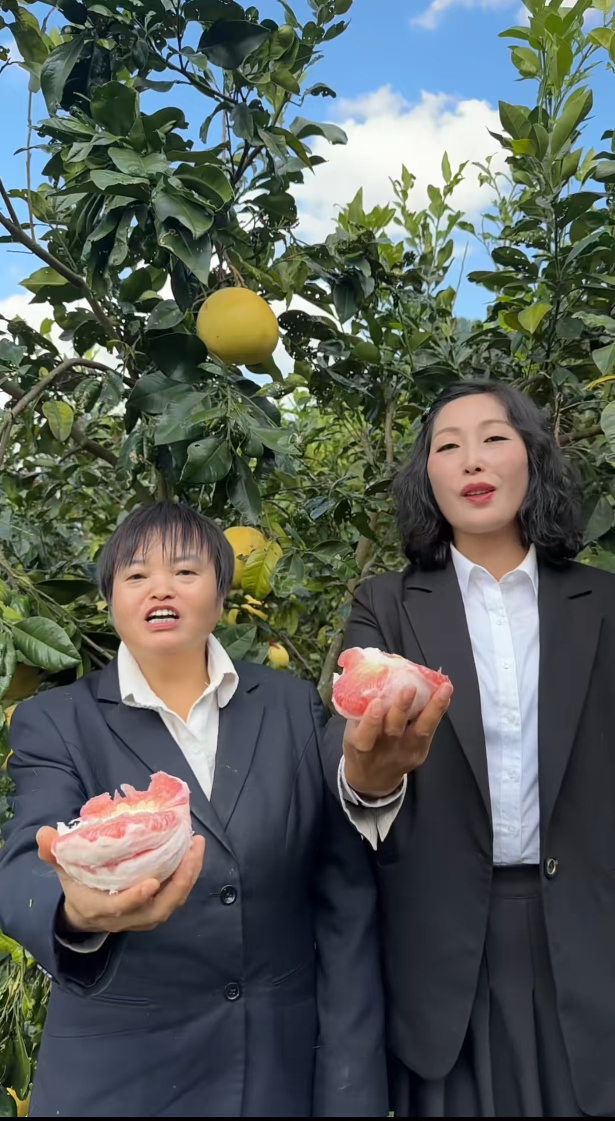 （吴姐专属）梵净山脚下缠溪红香柚