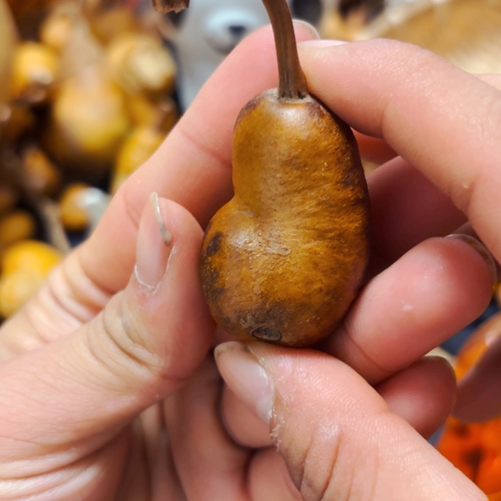 u*u88898888888888888