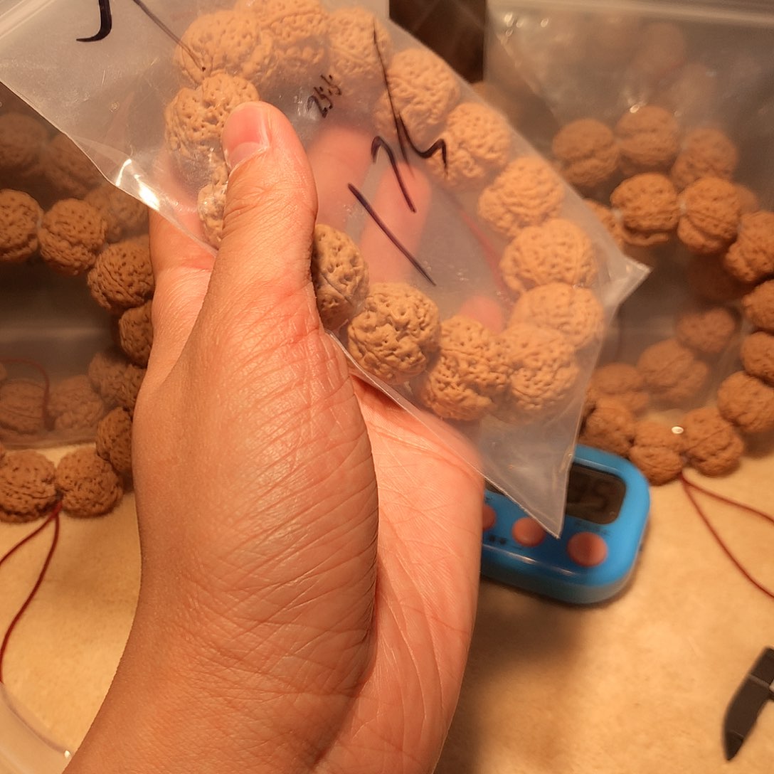 金刚菩提手串大****间7。