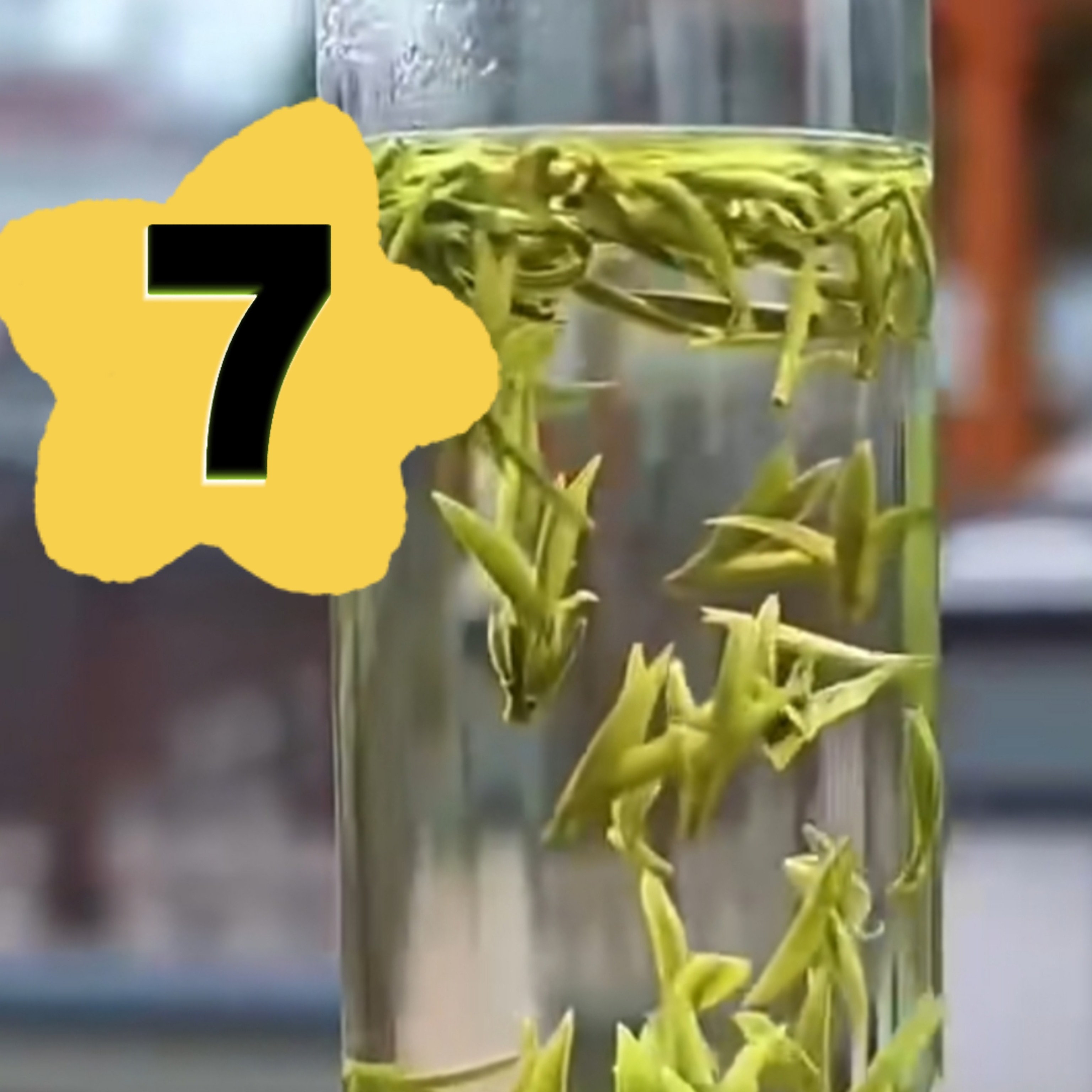 7号湖北宜昌高山雨花茶精选芽头嫩芽滋味兰香（散装新茶浓香型）