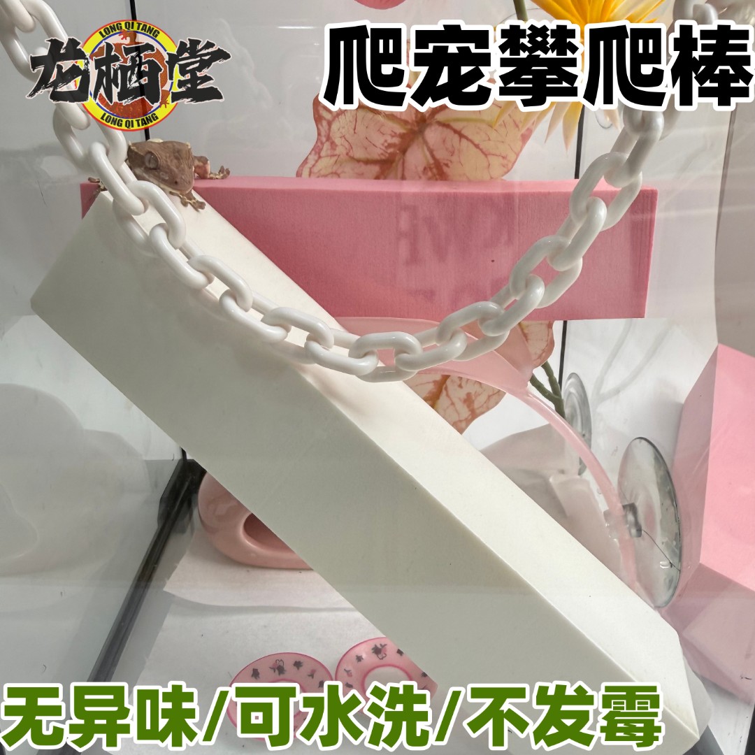 【龙栖堂】爬宠专用攀爬守宫攀爬睫角巨人盖勾亚攀爬树栖造景可裁剪