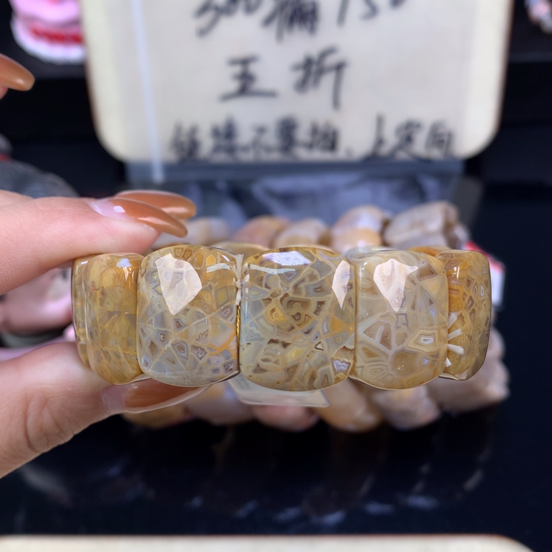 巫***林硅化珊瑚（珊瑚玉）未镶嵌颈饰