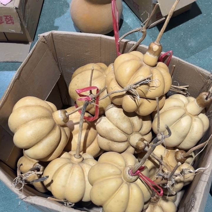 有机玻璃我们的生活会越来越好