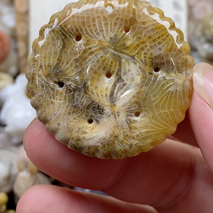 颈饰未镶嵌硅化珊瑚（珊瑚玉）