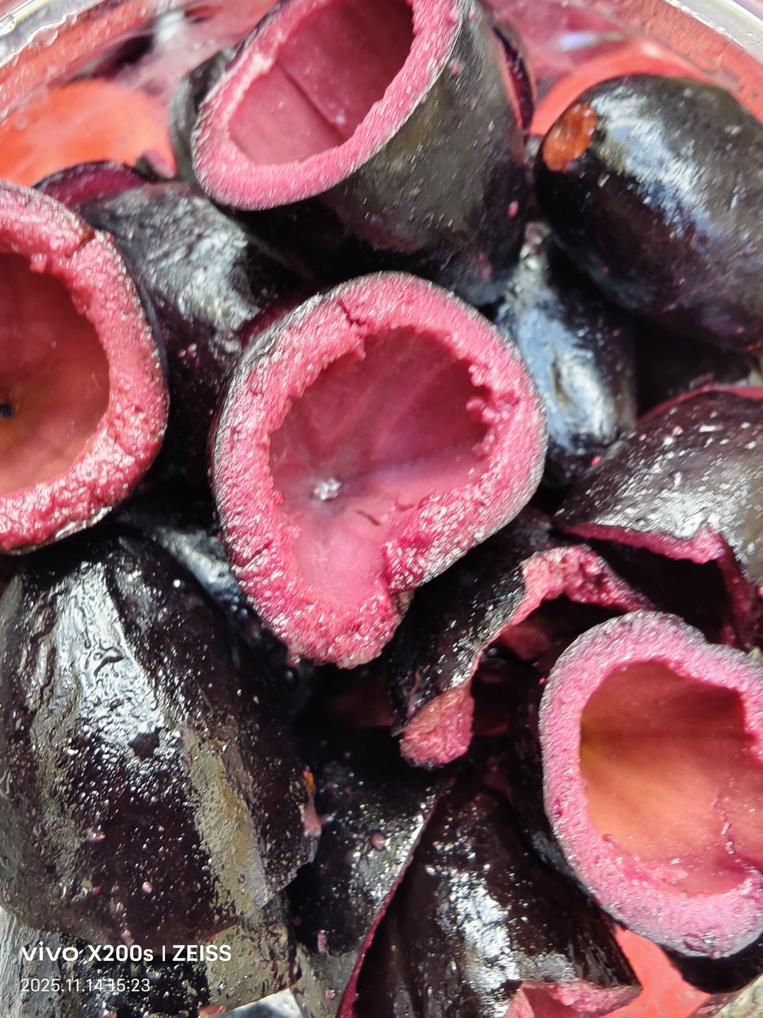 广东新鲜油榄香榄角咸香下饭菜