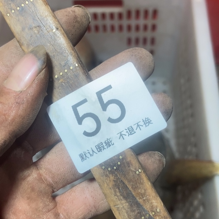 芳***辉昌化石其他66866899