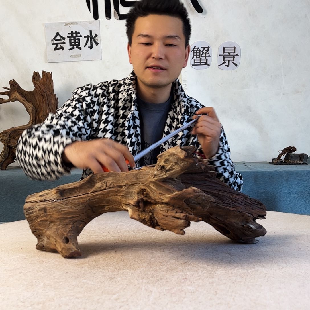 周末福利沉木造景爬宠造景