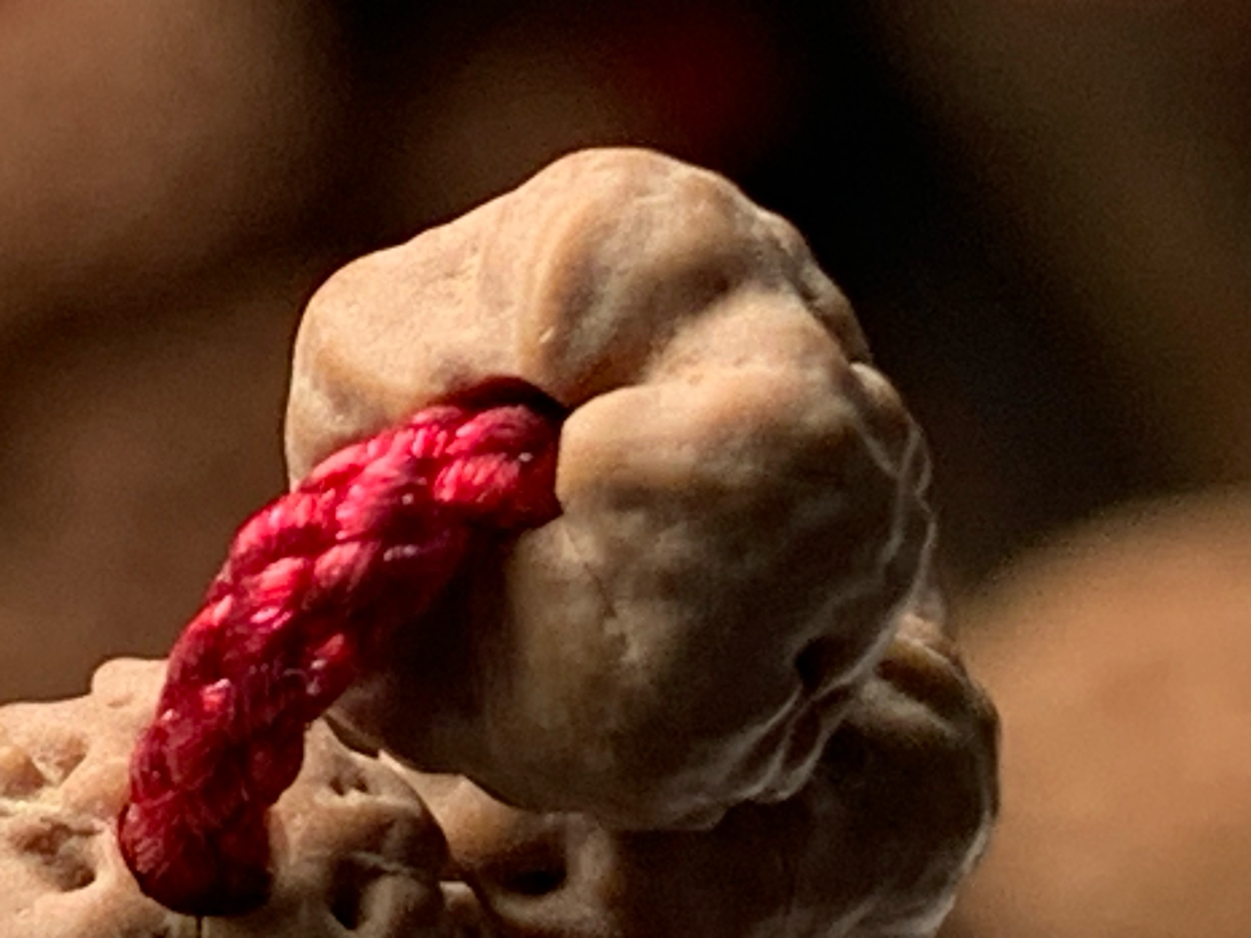 五爪金龙，平细小金刚佛手小金刚