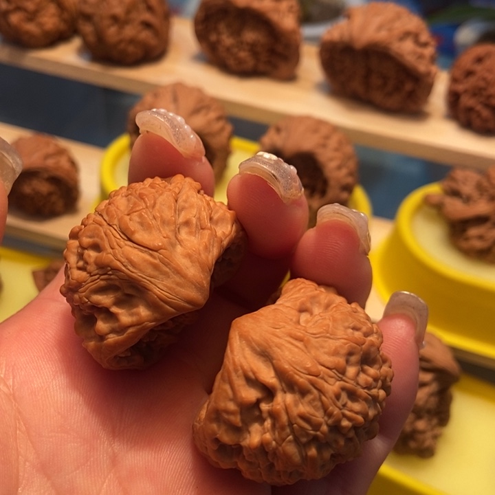 官方网站发布消息