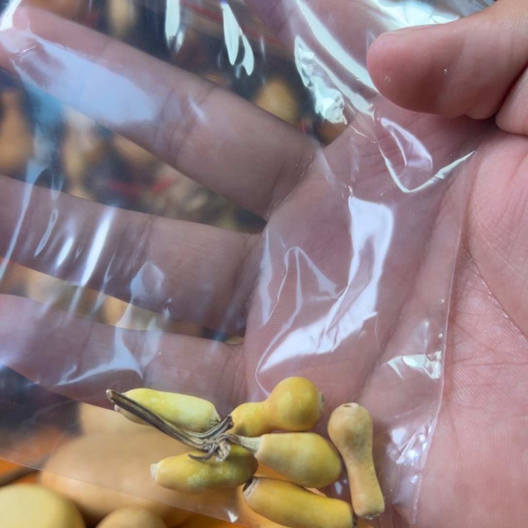 水***鱼葫芦直播间精品葫芦链接