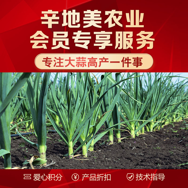 加入会员，享大蒜会员特权