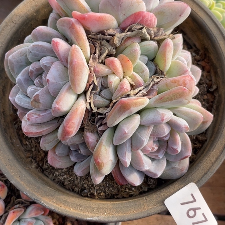 哈哈哈哈哈哈哈哈767