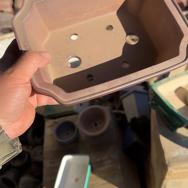 这几句真的好好啊哈哈好好听我