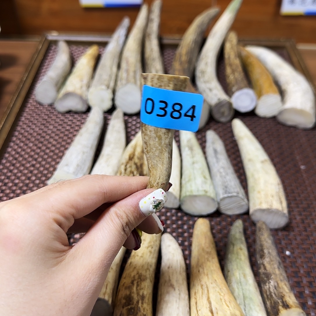 手串/手链鹿骨角尖0384